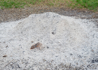 Gray white ash ashes pile heap stack from burnt campfire lumber