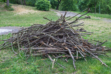 Heap woodpile pile of cut tree lumber wood branches stack