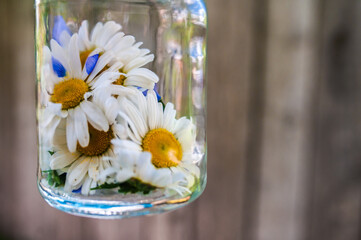 Chamomile flowers in a glass jar on a neutral brown background. The concept of medicine, cosmetics, perfume
