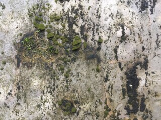old stone wall