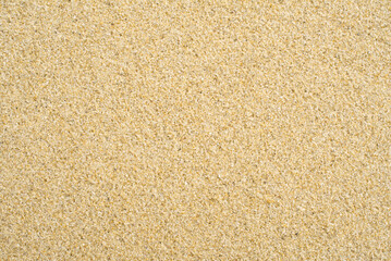 Clean sandy beach seamless texture background