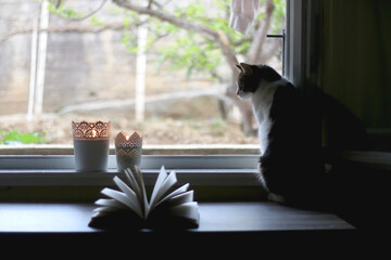 Two candle holders with lit candles on a window sill and tabby cat looking outside. Selective focus.