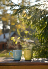 Healthy herbal tea. Beautiful coffee Cup with the steam, background of nature and the warm light. Two cups coffee Cup on autumn background.