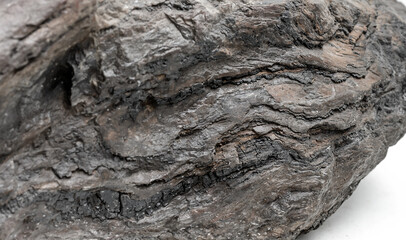Granite. Petrified wood texture. Окаменелое дерево.