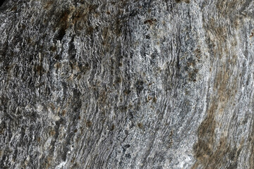 Granite. Petrified wood texture. Окаменелое дерево.