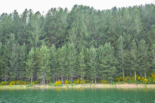 lake in the Sila Nacional Park in Celico, Calabria, Italy