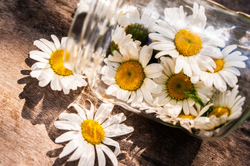 Obraz premium Chamomile flowers in a glass jar on a wooden brown old background. Medication concept. Cosmetology. Perfume