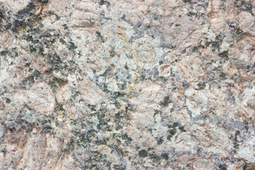 rock or stone texture background. texture of stone