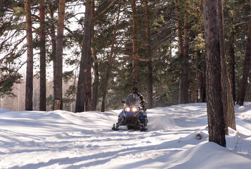 Snowmobile driving. Winter forest.  Walk on snowmobiles. Recreation concept on nature in winter holidays. Winter sports.