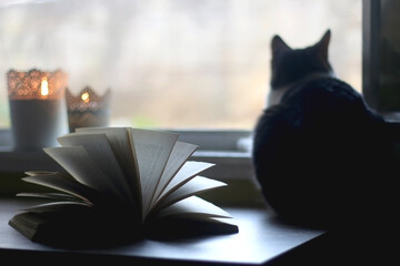 Open book, candle holders with lit candles and tabby cat at home. Selective focus.