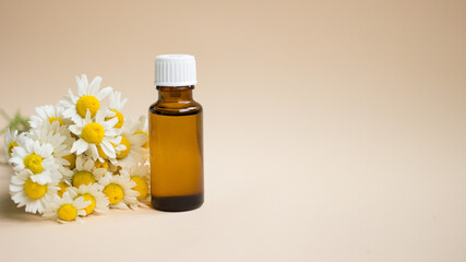 Small glass of chamomile essential aroma oil with fresh camomile flowers on light beige background.Daisy flowers, close up. Cosmetic, spa, aromatherapy and herbal medicine ingredients.Copy space