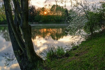 Early evening by the pond. Sunset. East Moravia. Czechia. Europe. 