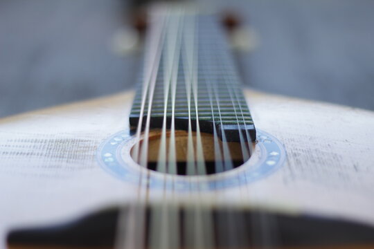 Artistic photo with 10-string mandolin vibrating strings