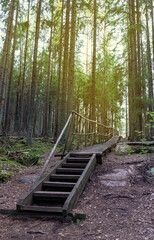 Staircase in Finland park. Health trail in an old park.