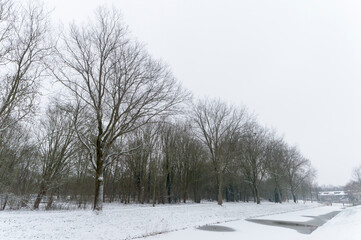 Park "De Hoge Dijk" in winter