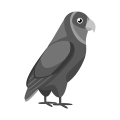 Vector design of parrot and green logo. Set of parrot and brazilian stock vector illustration.