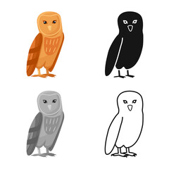 Vector illustration of bird and owl icon. Collection of bird and nature stock symbol for web.