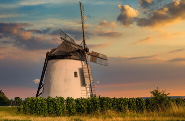 Old windmill near Retz village in Austria. © Sergey Fedoskin