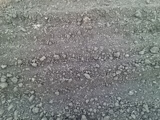 Texture of small pebbles of gray color. Construction and road works.