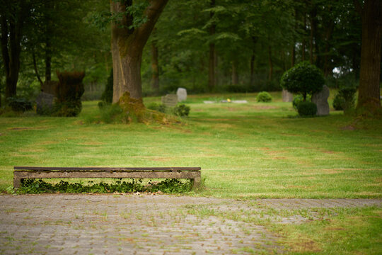 park bench in cemetry park