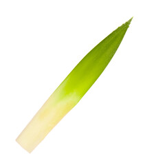 single fresh leaf of pineapple isolated on white background