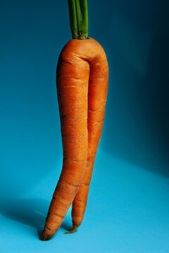 Naklejki Orange carrot on blue background, vertical image. Carrot looks like womans legs. Abstract food background.