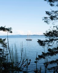 A sailboat in the sea
