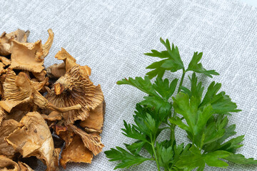 vegetarian set. dry mushrooms and greens, copy space