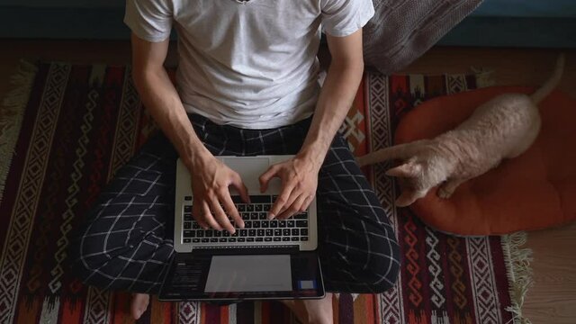 Young american man is working with laptop while sitting on floor in home room, cat is nearby spbas. Guy hipster typing on computer keyboard and browsing web in modern interior with cute pet