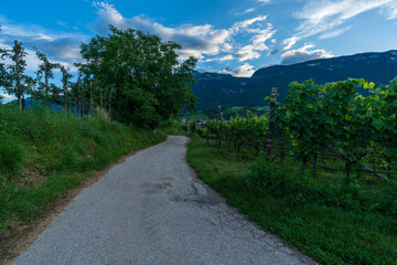 Fototapeta na wymiar Eppan an der Weinstrasse in Italian South Tyrol