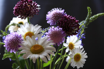 Bouquet of beautiful multicolored wildflowers on a dark background close-up