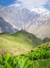 Obraz premium Historical Gergeti trinity church on top of the hill surounded by green nature and mountain in the background. Travelous in KAzbegi national park. Sakartvelo