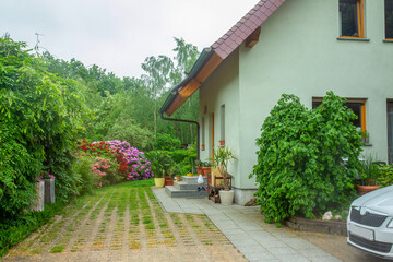 Yard of good house with blossom rhododenrons in Potsdam  near Berlin