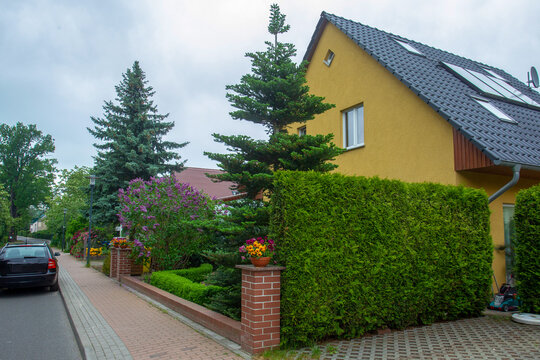 Houses in  Germany  at May with bloosoming Lilac and Rhododendrons