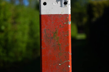 Post on the forest path