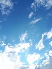Silhouette of a white bird in the blue sky - Lysaker 
