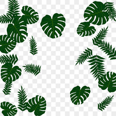 Tropical pattern.