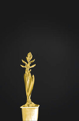 Black concept with golden plant hyacinth in pot on black background in minimalism style in vertical orientation