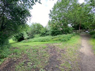 Obraz premium A clearing in the forest, with a grass track, leading to a gate in, Heaton, Bradford, UK