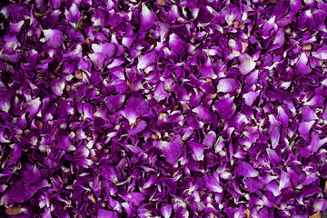 Roses petals pattern. Violet color.