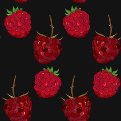 ripe raspberries seamless pattern. Berry, summer background. Red berries. Hand drawing