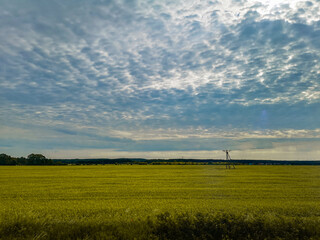 Fototapeta na wymiar Beautiful cloudy morning over yellow fields from train