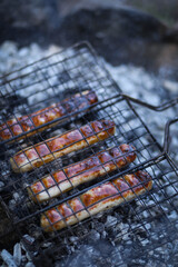 sausages are grilled on the grill, barbecue in nature
