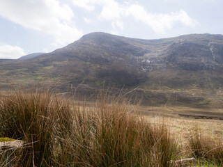 Fototapeta premium grass and mountains