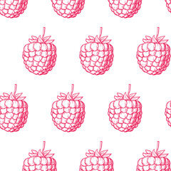Seamless pattern with pink raspberry on white background. Vector hand drawn illustration in engraving style. Detailed vegetarian food. Good for fabric print, wrapping paper, wallpapers, cards. 