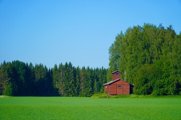dom drewniany pod lasem na zielonej trawie 