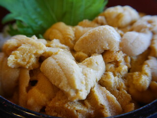 Fresh raw sea urchin rice bowl