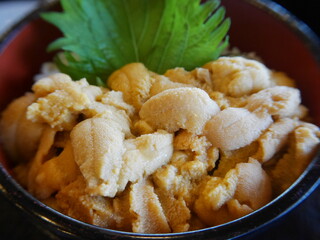 Fresh raw sea urchin rice bowl
