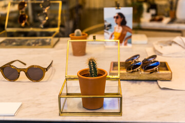 Glasses vitrine, decorated with potted cactus flowers. Spring fashion. Design element.