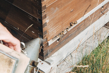 Fototapeta na wymiar Honigproduktion - Beruhigung der Bienen 